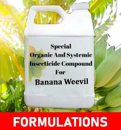 Formulations And Production Process of Organic And Systemic Insecticide Compound For Banana Weevil