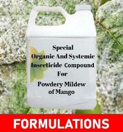 Formulations And Production Process of Organic And Systemic Fungicide Compound For Powdery Mildew of Mango