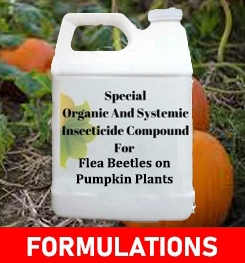 Formulations And Production Process of Organic And Systemic Insecticide Compound For Cutworms on Pumpkin Plants