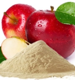INSTANT APPLE JUICE POWDER FORMULATIONS AND PRODUCTION PROCESS