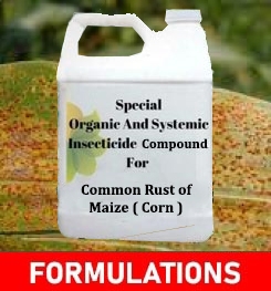 Formulations And Production Process of Organic And Systemic Fungicide Compound For Common Rust of Maize ( Corn )
