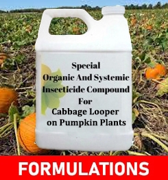 Formulations And Production Process of Organic And Systemic Insecticide Compound For Cabbage Looper on Pumpkin Plants