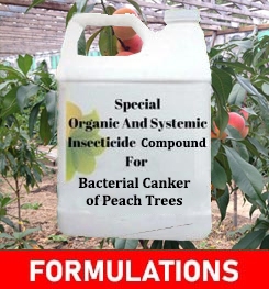 Formulations And Production Process of Organic And Systemic Fungicide Compound For Bacterial Canker of  Peach Trees