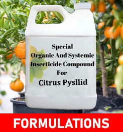 Formulations And Production Process of Organic And Systemic Insecticide Compound For Citrus Pysllid