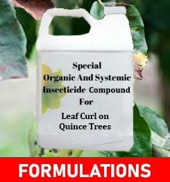 Formulations And Production Process of Organic And Systemic Fungicide Compound For Quince Scab