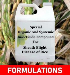 Formulations And Production Process of Organic And Systemic Fungicide Compound For Sheath Blight Disease of Rice
