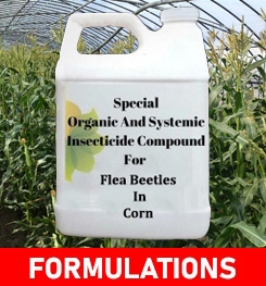 Formulations And Production Process of Organic And Systemic Insecticide Compound For Flea Beetles In Corn