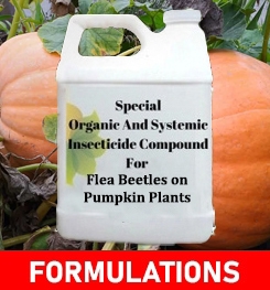 Formulations And Production Process of Organic And Systemic Insecticide Compound For Flea Beetles on Pumpkin Plants