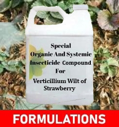 Formulations And Production Process of Organic And Systemic Fungicide Compound For Verticillium Wilt of Strawberry