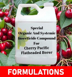 Formulations And Production Process of Organic And Systemic Insecticide Compound For Cherry Pacific Flatheaded Borer