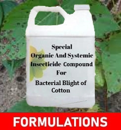 Formulations And Production Process of Organic And Systemic Fungicide Compound For Bacterial Blight of Cotton
