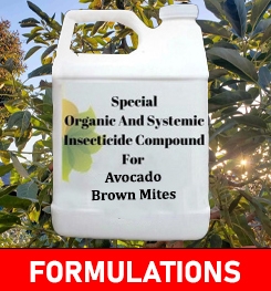 Formulations And Production Process of Organic And Systemic Insecticide Compound For Avocado Brown Mites