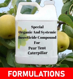 Formulations And Production Process of Organic And Systemic Insecticide Compound For Pear Tent Caterpillar