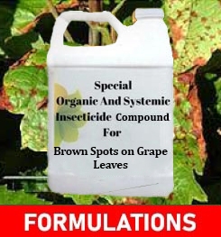 Formulations And Production Process of Organic And Systemic Fungicide Compound For Brown Spots on Grape Leaves