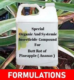 Formulations And Production Process of Organic And Systemic Fungicide Compound For Bacterial Heart Rot And Fruit Collapse of Pineapple ( Ananas )