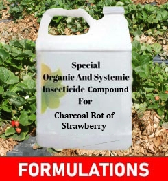 Formulations And Production Process of Organic And Systemic Fungicide Compound For Charcoal Rot of Strawberry