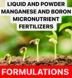 LIQUID AND POWDER MANGANESE AND BORON MICRONUTRIENT FERTILIZERS FORMULATIONS AND PRODUCTION PROCESS