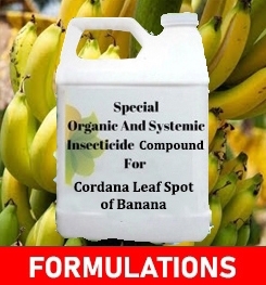Formulations And Production Process of Organic And Systemic Fungicide Compound For Banana Fusarium Wilt ( Panama Disease )