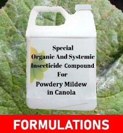 Formulations And Production Process of Organic And Systemic Fungicide Compound For Powdery Mildew in Canola