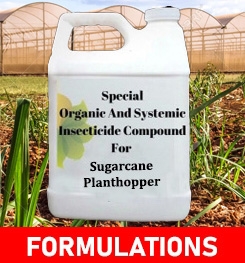 Formulations And Production Process of Organic And Systemic Insecticide Compound For Sugarcane Planthopper