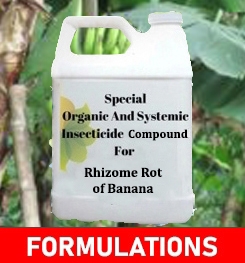 Formulations And Production Process of Organic And Systemic Fungicide Compound For Rhizome Rot of Banana