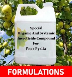 Formulations And Production Process of Organic And Systemic Insecticide Compound For Pear Pyslla