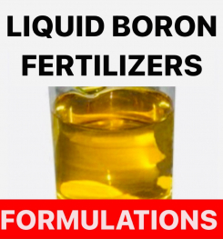 LIQUID BORON FERTILIZERS FORMULATIONS AND PRODUCTION PROCESS