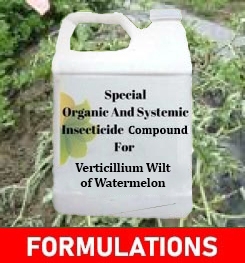 Formulations And Production Process of Organic And Systemic Fungicide Compound For Verticillium Wilt of Watermelon