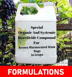 Formulations And Production Process of Organic And Systemic Insecticide Compound For Brown Marmorated Stink Bugs in Grape