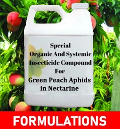 Formulations And Production Process of Organic And Systemic Insecticide Compound For Green Peach Aphids in Nectarine