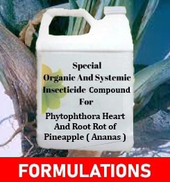 Formulations And Production Process of Organic And Systemic Fungicide Compound For Phytophthora Heart And Root Rot of Pineapple ( Ananas )