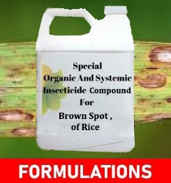 Formulations And Production Process of Organic And Systemic Fungicide Compound For Brown Spot of Rice