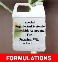 Formulations And Production Process of Organic And Systemic Fungicide Compound For Fusarium Wilt of Cotton