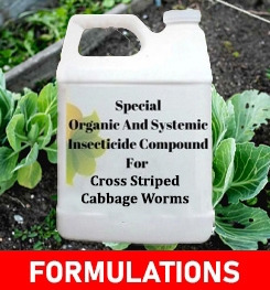 Formulations And Production Process of Organic And Systemic Insecticide Compound For Cross Striped Cabbage Worms