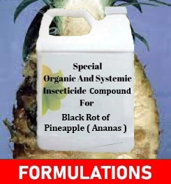 Formulations And Production Process of Organic And Systemic Fungicide Compound For Black Rot of Pineapple ( Ananas )