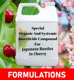 Formulations And Production Process of Organic And Systemic Insecticide Compound For Japanese Beetles in Cherry