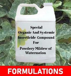 Formulations And Production Process of Organic And Systemic Fungicide Compound For Powdery Mildew of Watermelon