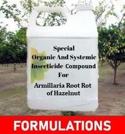 Formulations And Production Process of Organic And Systemic Fungicide Compound For Armillaria Root Rot of  Hazelnut
