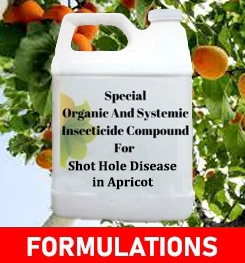 Formulations And Production Process of Organic And Systemic Fungicide Compound For Shot Hole Disease in Apricot