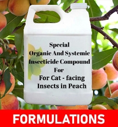 Formulations And Production Process of Organic And Systemic Insecticide Compound For Cat - facing Insects in Peach