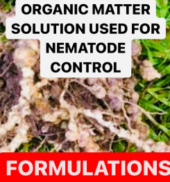 ORGANIC MATTER SOLUTION USED FOR NEMATODE CONTROL FORMULATIONS AND PRODUCTION  PROCESSES