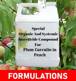 Formulations And Production Process of Organic And Systemic Insecticide Compound For Plum Curculio in Peach