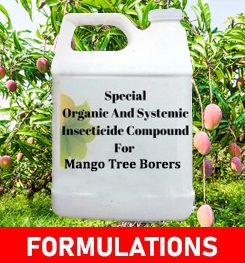 Formulations And Production Process of Organic And Systemic Insecticide Compound For Mango Tree Borers