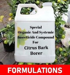 Formulations And Production Process of Organic And Systemic Insecticide Compound For Citrus Bark Borer