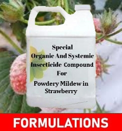 Formulations And Production Process of Organic And Systemic Fungicide Compound For Powdery Mildew in Strawberry