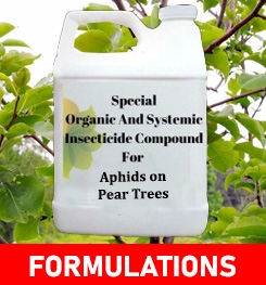 Formulations And Production Process of Organic And Systemic Insecticide Compound For Aphids on Pear Trees