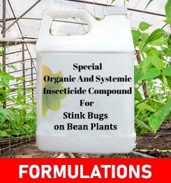 Formulations And Production Process of Organic And Systemic Insecticide Compound For Stink Bugs on Bean Plants