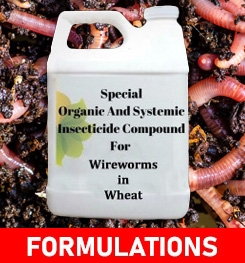 Formulations And Production Process of Organic And Systemic Insecticide Compound For Wireworms in Wheat