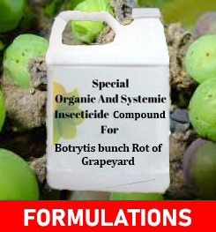 Formulations And Production Process of Organic And Systemic Fungicide Compound For Botrytis bunch Rot of Grapeyard