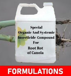 Formulations And Production Process of Organic And Systemic Fungicide Compound For Root Rot of Canola